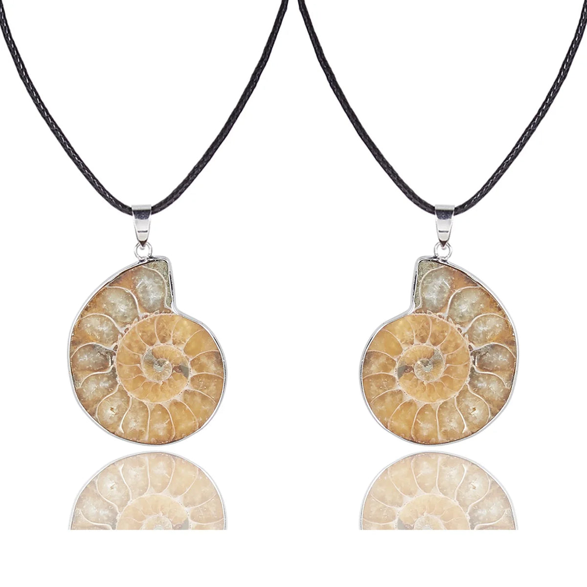 Natural Ammonite Fossil Pendant Necklace, Real Spiral Ammonite Fossil Slice Charm, Ancient Nautilus Fossil Jewelry, Reiki Energy Crystal Fossil Gift for Men Women