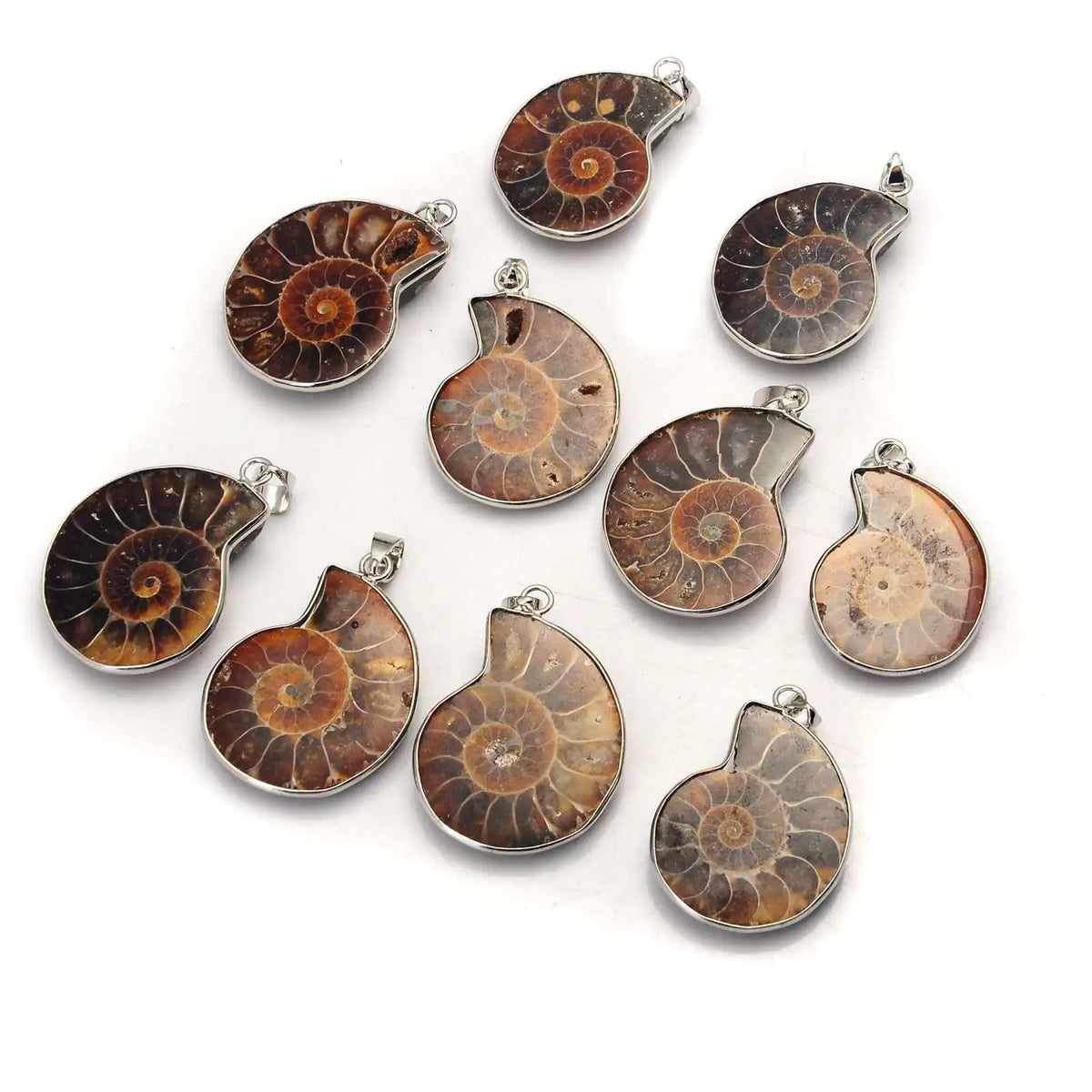 Ammonite Fossil Slice Keychain, Ancient Nautilus Fossil Charm, Spiritual Healing Stone Key Ring Gift for Crystal & Fossil Lovers