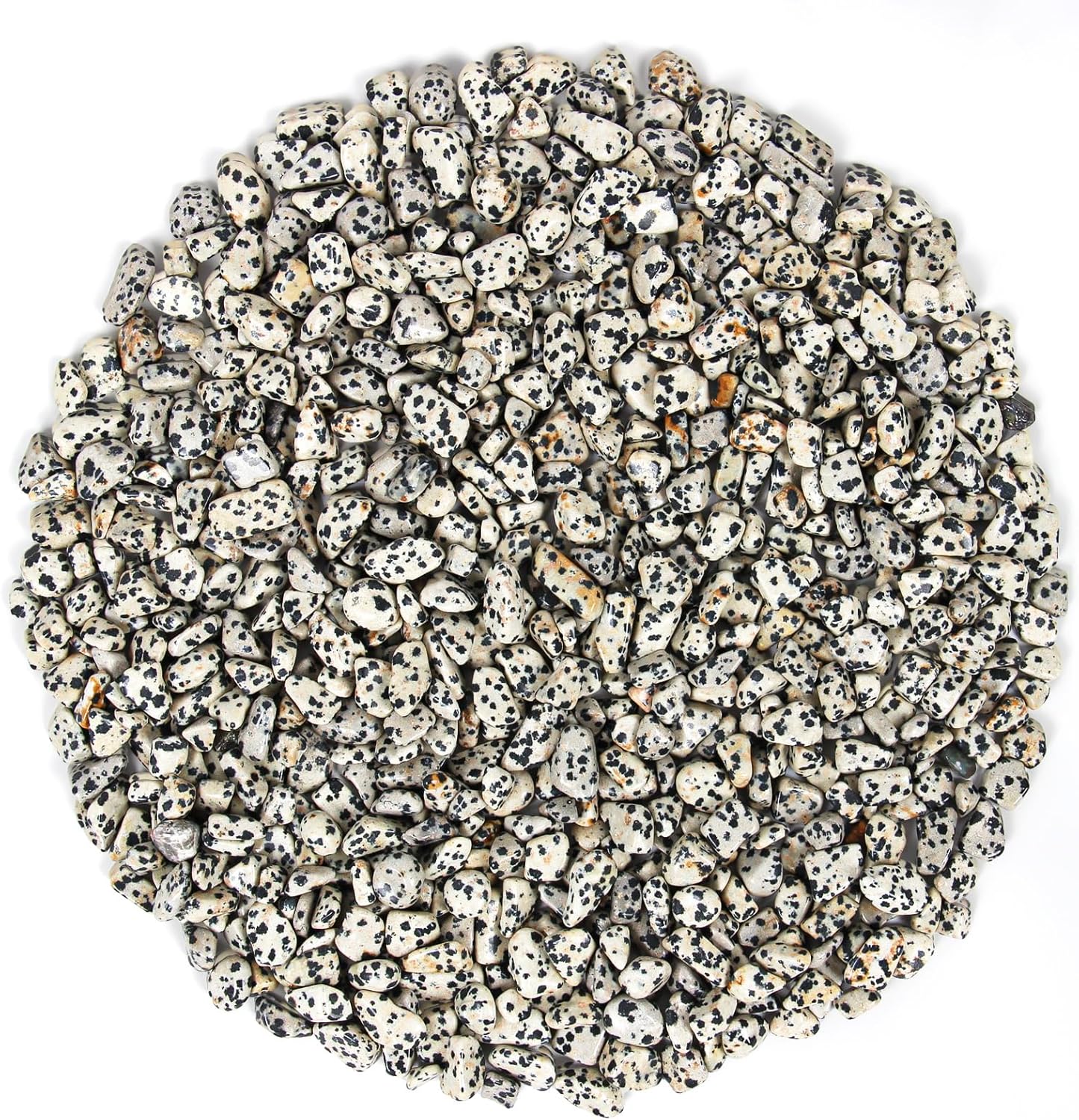 Dalmation Jasper