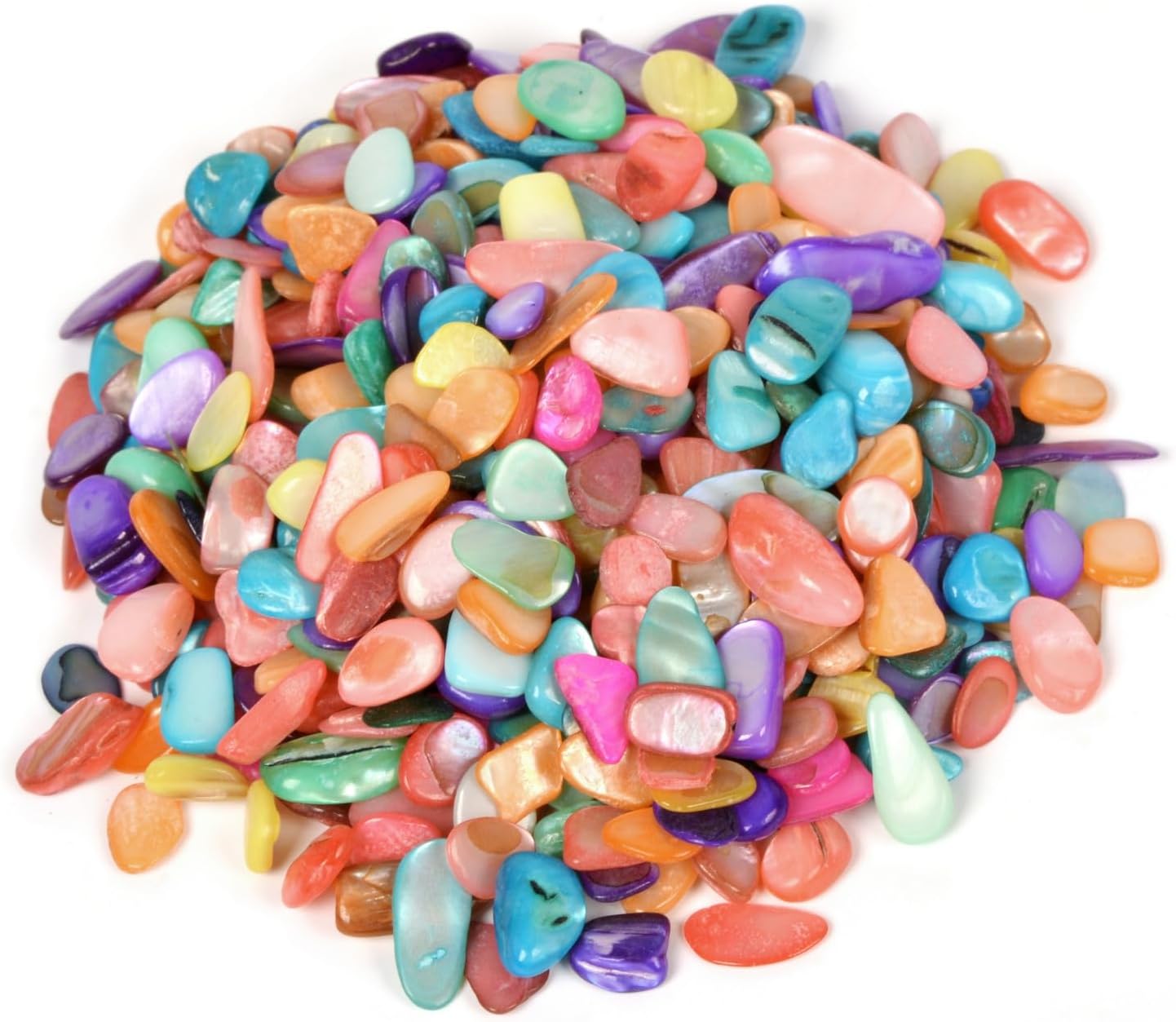 Sea Shell