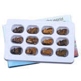 1.0Inch Hand Carved Wolf Gemstone Animal Figurine Ornament 12PCS IN Box for Home Office Desk Decor  #SP2314-12PA