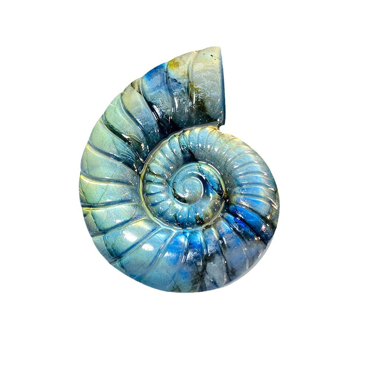 45MM Natural Labradorite Ammonite Carving Flashy Crystal Shell Figurine Reiki Healing Stone Pocket Decor