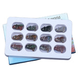 1.0Inch Hand Carved Wolf Gemstone Animal Figurine Ornament 12PCS IN Box for Home Office Desk Decor  #SP2314-12PA