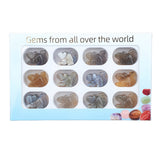 1.0 Inch Hand Carved Squirrel Gemstone Figurine Ornament 12PCS In Box for Home Office Desk Decor #SP2322-12PA