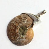 Hand Wire Wrapped Natural Ammonite Fossil Pendant, Spiral Conch Fossil Shell Charm for DIY Necklace Jewelry Making