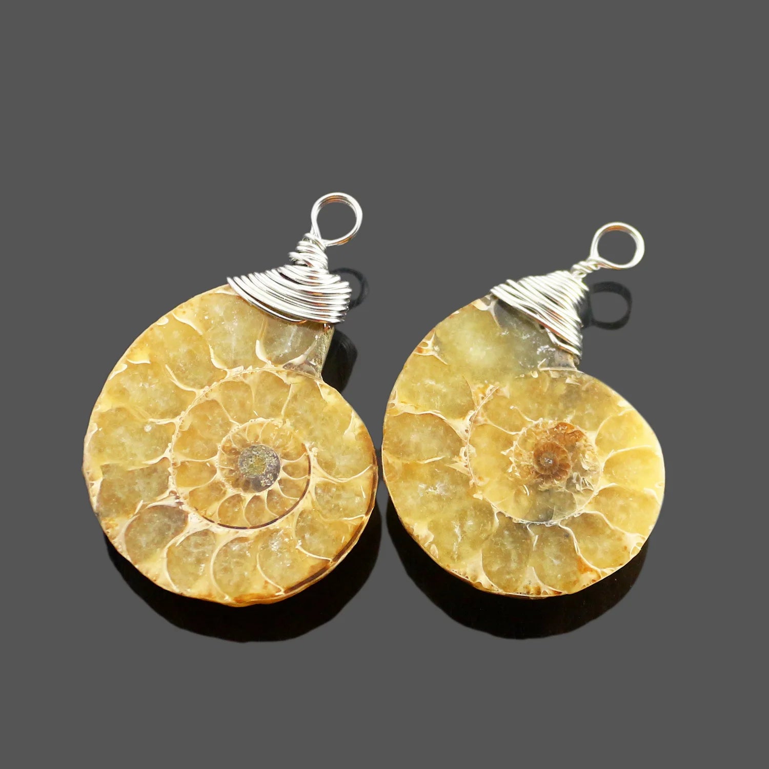 Hand Wire Wrapped Natural Ammonite Fossil Pendant, Spiral Conch Fossil Shell Charm for DIY Necklace Jewelry Making
