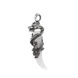 Vintage Stainless Steel Dragon Wrapped Tooth Pendant Necklace • Natural Healing Stone Horn Spike Charms • Gothic Punk Wiccan Crystal Jewelry