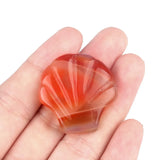 30mm Natural Crystal Shell Figurine | 30mm Natural Gemstone Pocket Stone Party & Home Decor
