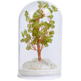 Natural Crystal Tree in Glass Bottle | Feng Shui Gemstone Money Tree with Wood Base & LED Light for Home Decoration Gift