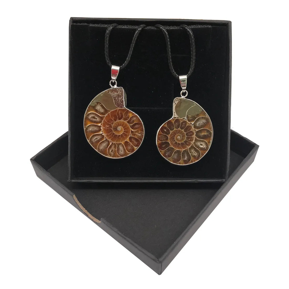 Natural Ammonite Fossil Pendant Necklace, Real Spiral Ammonite Fossil Slice Charm, Ancient Nautilus Fossil Jewelry, Reiki Energy Crystal Fossil Gift for Men Women