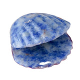 Natural Crystal Carved Seashell Figurine | Mini Gemstone Scallop Shell Charm | Ocean Beach Theme Home Decor & Healing Quartz Stone