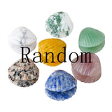 Natural Crystal Carved Seashell Figurine | Mini Gemstone Scallop Shell Charm | Ocean Beach Theme Home Decor & Healing Quartz Stone