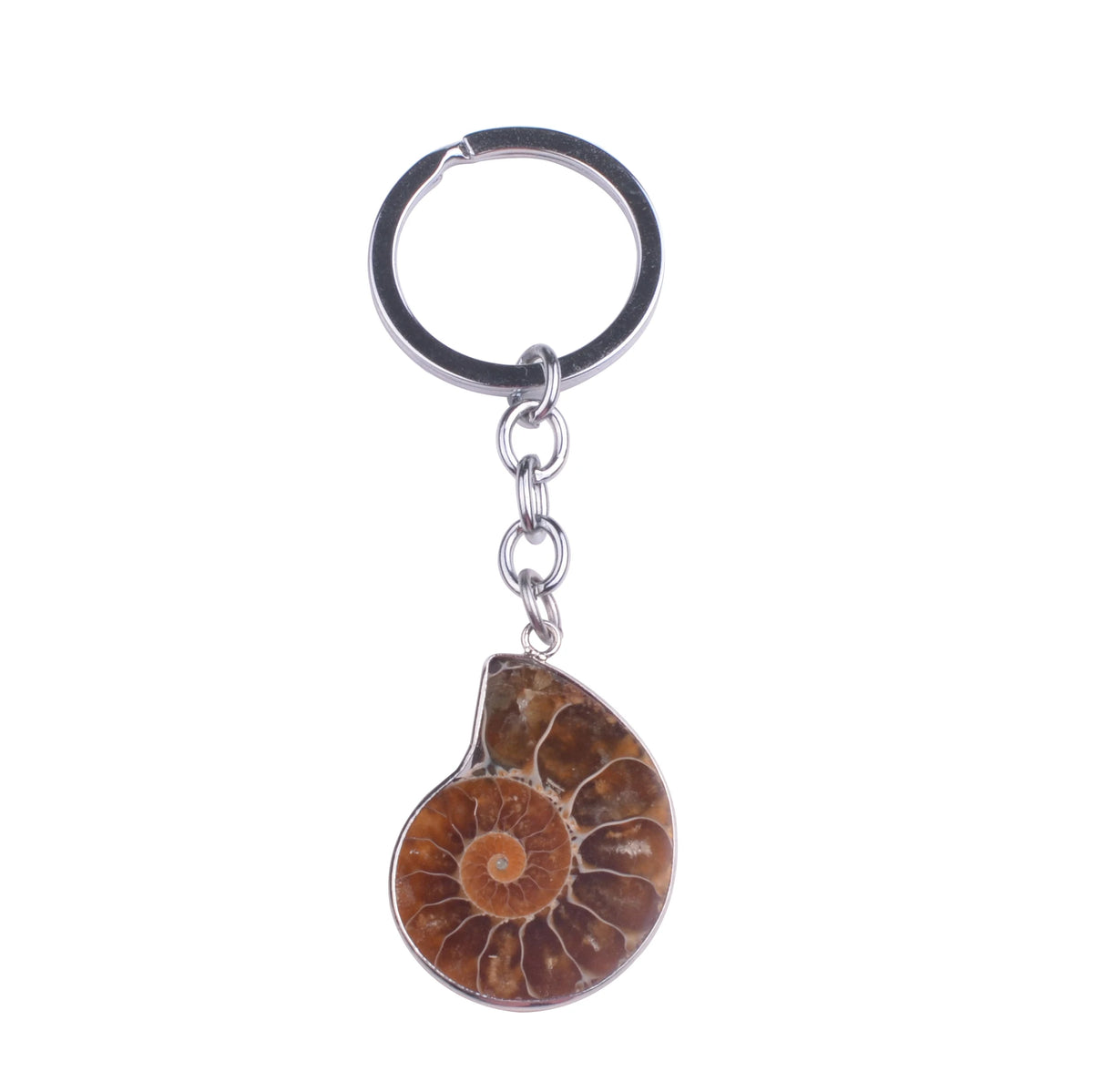 Ammonite Fossil Slice Keychain, Ancient Nautilus Fossil Charm, Spiritual Healing Stone Key Ring Gift for Crystal & Fossil Lovers