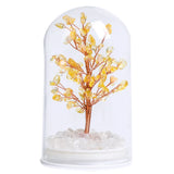Natural Crystal Tree in Glass Bottle | Feng Shui Gemstone Money Tree with Wood Base & LED Light for Home Decoration Gift