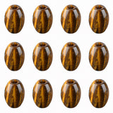 12PCS Natural Stone Large Hole Barrel Beads 18x13mm, Polished Gem Drum Beads for Bracelet Necklace